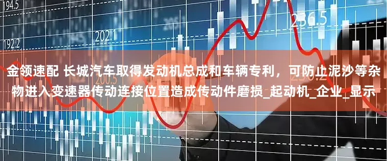 金领速配 长城汽车取得发动机总成和车辆专利，可防止泥沙等杂物进入变速器传动连接位置造成传动件磨损_起动机_企业_显示
