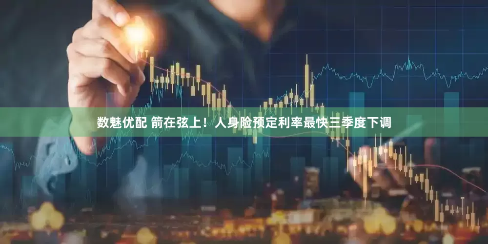 数魅优配 箭在弦上！人身险预定利率最快三季度下调