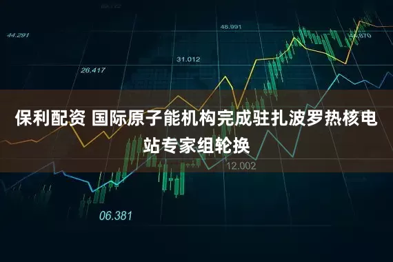 保利配资 国际原子能机构完成驻扎波罗热核电站专家组轮换