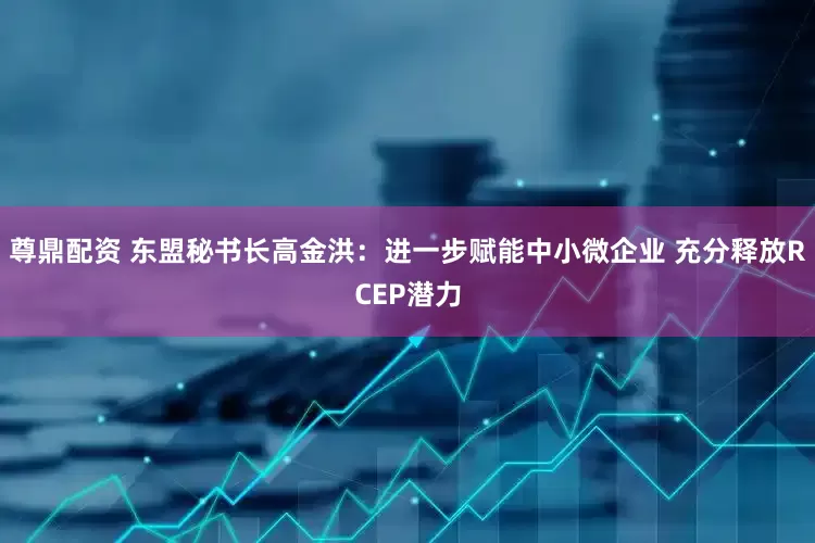 尊鼎配资 东盟秘书长高金洪：进一步赋能中小微企业 充分释放RCEP潜力
