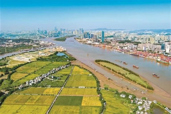 嘉信资本 《广州市耕地保护专项规划（2021—2035年）》印发，绘就美丽花城新图景