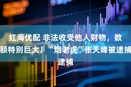 红海优配 非法收受他人财物，数额特别巨大！“烟老虎”张天峰被逮捕