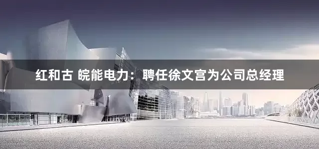 红和古 皖能电力：聘任徐文宫为公司总经理
